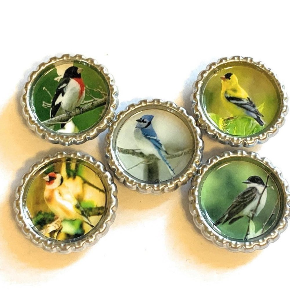 Backyard Birds Magnet Set